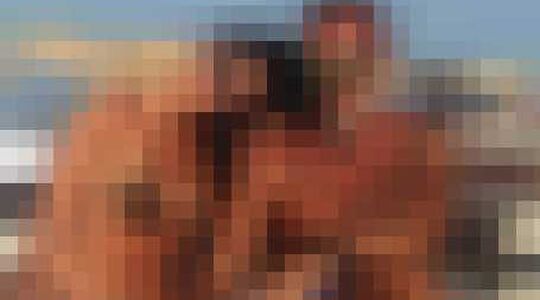 wie is gianluca vacchi