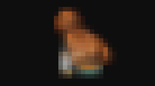 wijn voor honden en katten