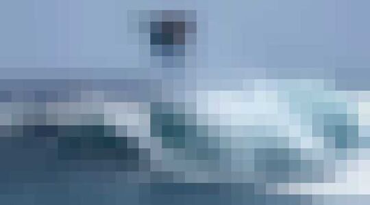 Surfers gewoonvoorhem