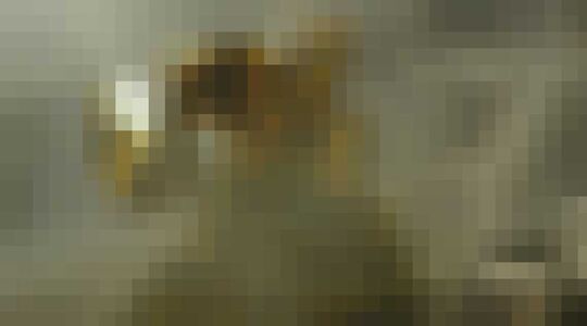 bioscoopfilm december films december gewoonvoorhem