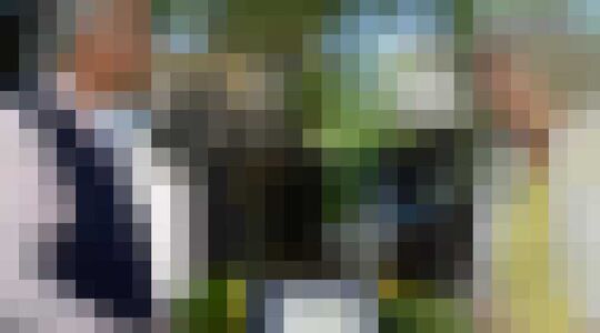 diamant godsvermogen