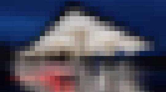 Illustratie voor: Dit zijn de 10 mooiste benzine stations van de wereld!