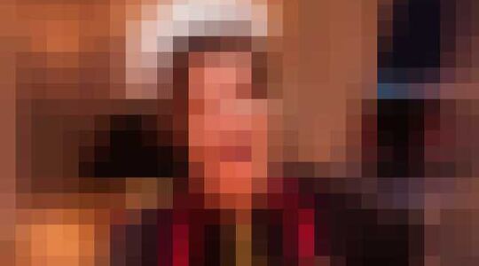 vermogen van snollebollekes