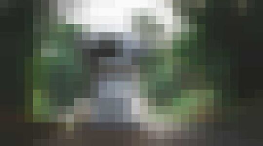 Camper EleMMent Palazzo Marchi Mobile