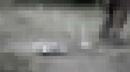 Road Rally Racing Safari Cup