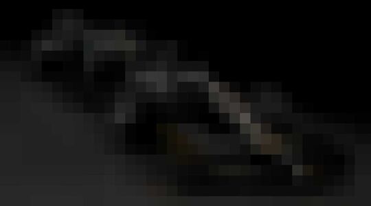 Haas Formule 1-seizoen Gewoonvoorhem