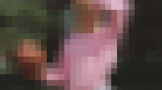 zweedse basketbalster