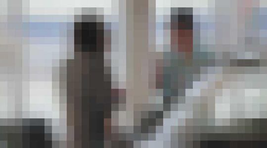 Arnold Schwarzenegger als autoverkoper