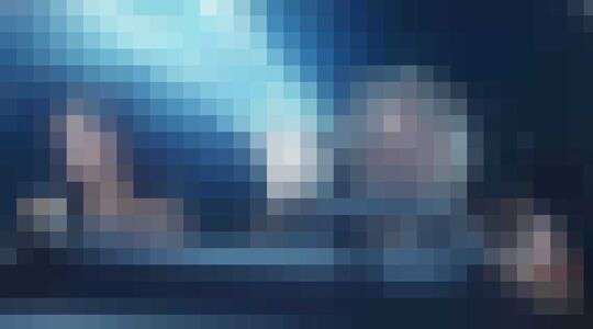 Arnold Schwarzenegger