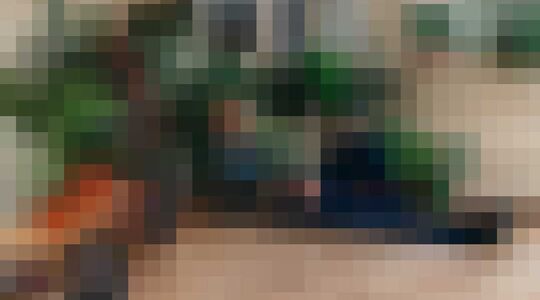 Illustratie voor: Hoe Maxim Hartman op humoristische wijze vrouwen versiert met planten