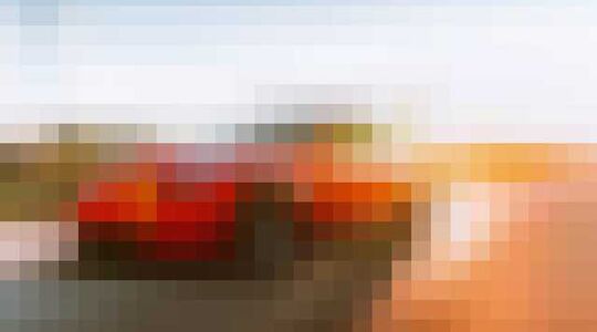 flitspaal die het meest flitst