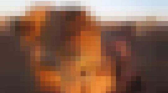 Illustratie voor: Op deze site kun je checken hoeveel kamelen jouw meisje waard is