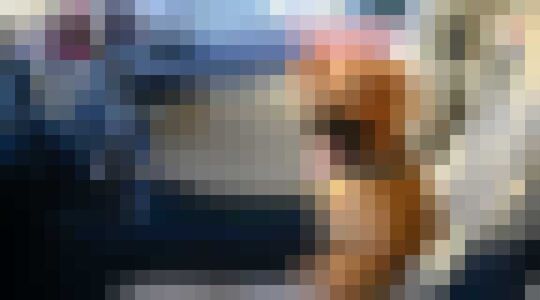 Tesla Dog Mode Gewoonvoorhem