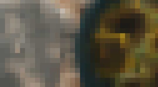 voordelen zonnebloempitten