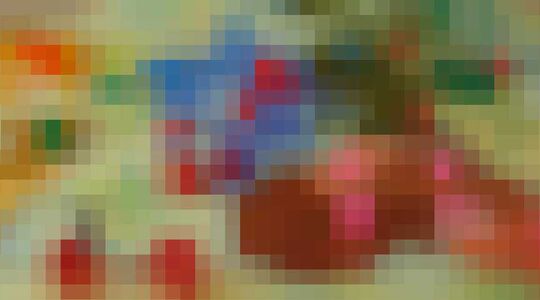 NK Risk 2019 gewoonvoorhem