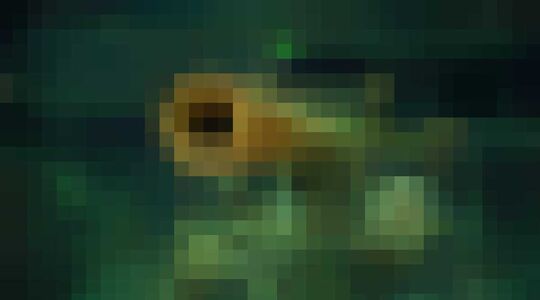 Illustratie voor: Vliegdekschip uit de Tweede Wereldoorlog gevonden op de bodem van de oceaan