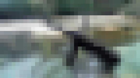 Vissen Magneetvissen Zomeractiviteit Vrienden