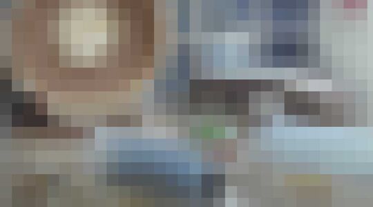 Mr. Goxx hamster handelt in crypto