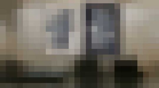 patrick van riemsdijk