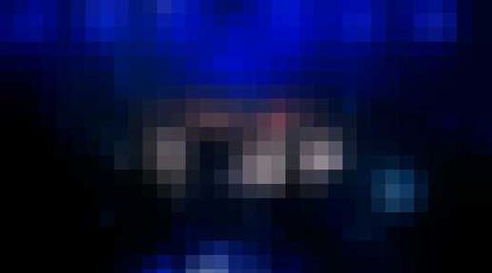 MMA-gevecht chaos paniek Gewoonvoorhem