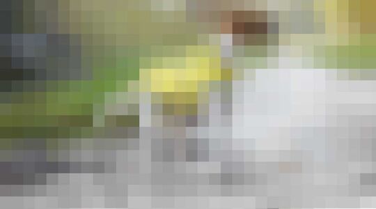 regenjas voor honden