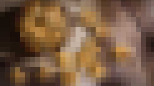 Sperma Noten Onderzoek Gewoonvoorhem