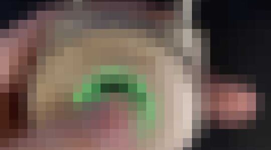 Hangslot met Vingerafdruk