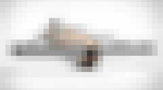 marshmallow crossbow