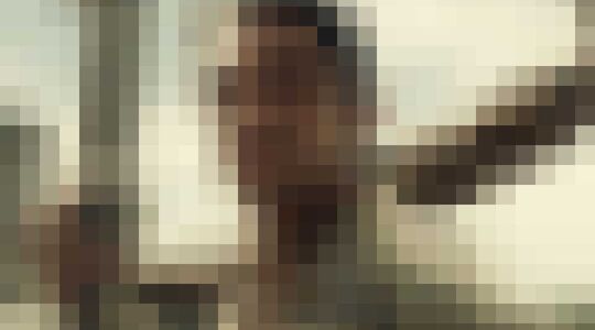 Netflix The Ballad of Buster Scruggs