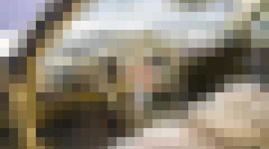 Cadillac Elvis Presley geveild