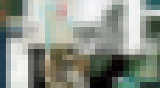 dont f**ck with cats