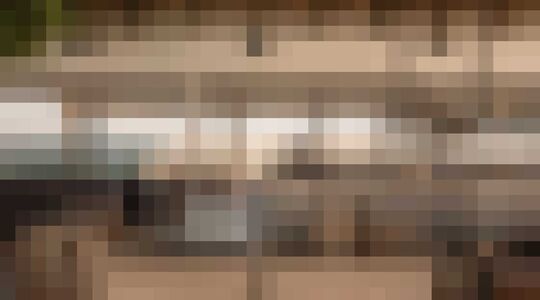 Illustratie voor: Neem je vriendin mee naar dit strandresort op het Griekse eiland Kos