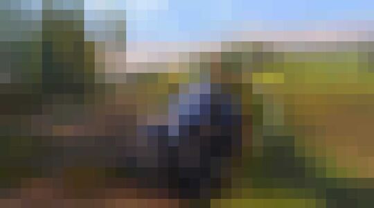 Farming Simulator Esports League Gewoonvoorhem