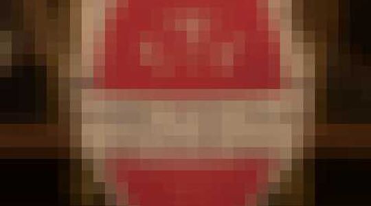 Teslaquila header elon musk gewoonvoorhem