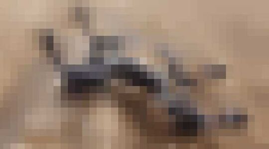 Tankcopter drone Gewoonvoorhem