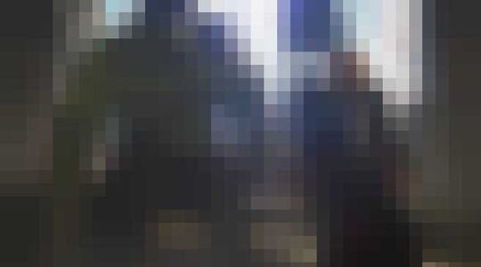 Onderzoek Napoleoncomplex Hulk Thor