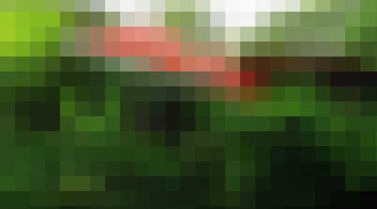 Unieke hotel overnachtingen