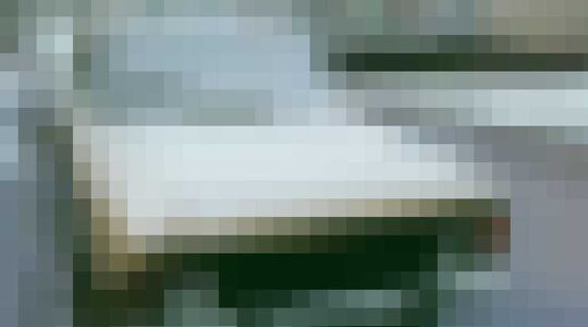 tip tegen ruiten krabben