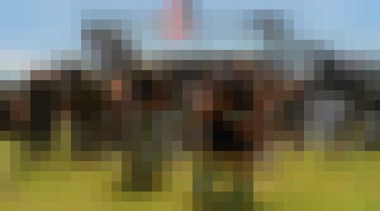 Illustratie voor: Het grootste paintball event ter wereld vindt in juli plaats