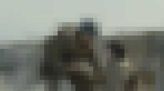 bioscoopfilms waar nederland het meest aan heeft verdiend