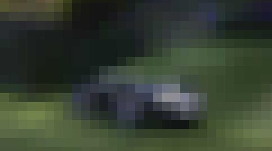 Autonome Grasmaaier Husqvarna Gewoonvoorhem