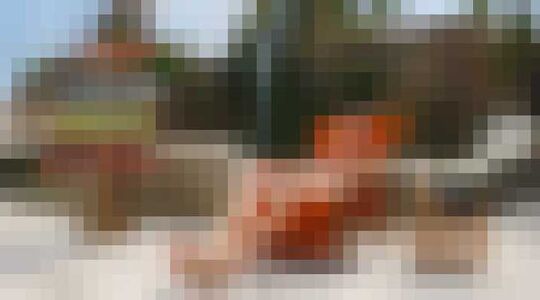 Illustratie voor: McDonald’s bouwt ‘tropisch eiland’ op de Gouwzee, vlakbij Volendam