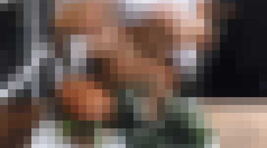 Relatie-expert Model Gewoonvoorhem