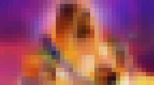 The Beach Bum Gewoonvoorhem