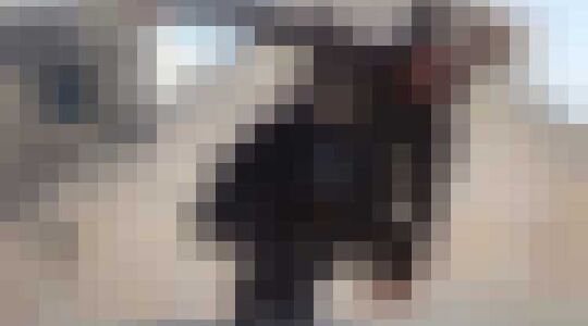 Assassins Creed Netlfix