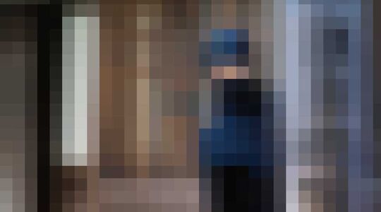 Ninja Iga Japan Salaris