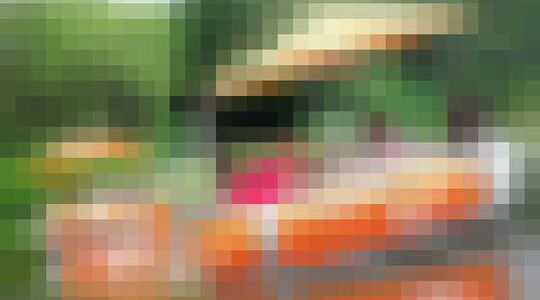 Illustratie voor: Chill met je vrienden op deze varende BBQ donut!