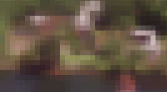 villa rijkste man ter wereld