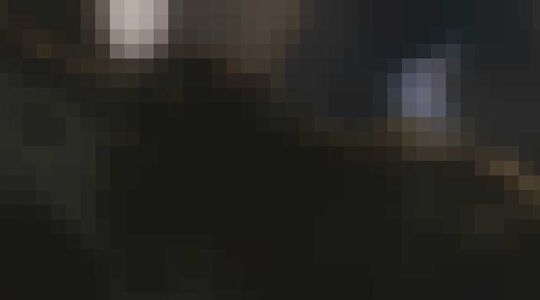 Arachnophobia Remake