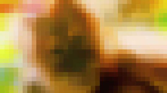 netflix-documentaires